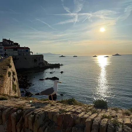 Lejlighed Renove Au Coeur Du Vieil Antibes